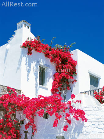 Yria Hotel Resort 2